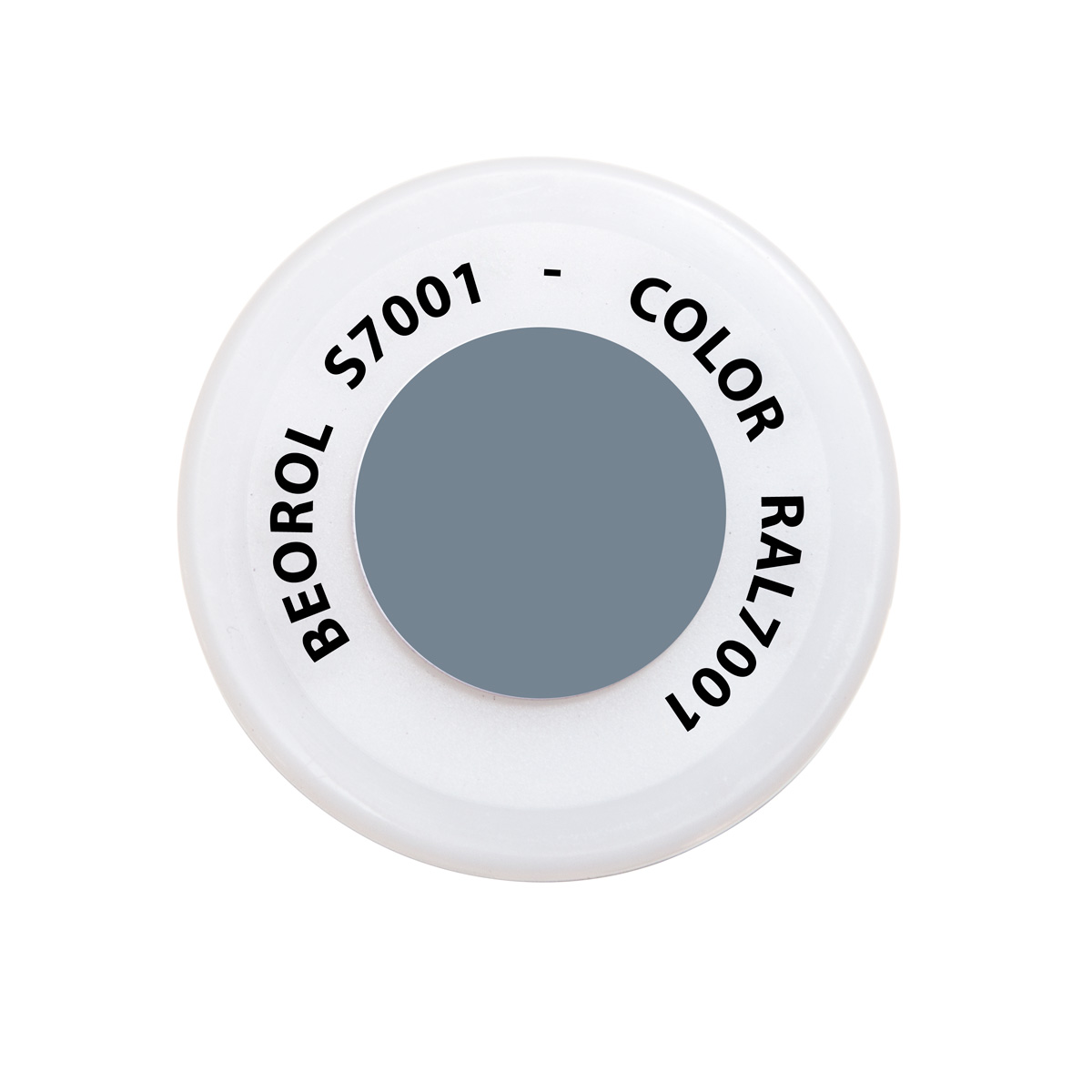 Spray paint gray Argento RAL7001 